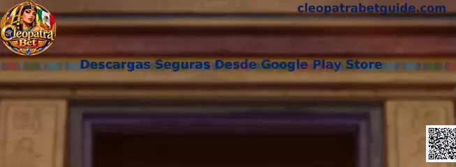 Descargas Seguras Desde Google Play Store